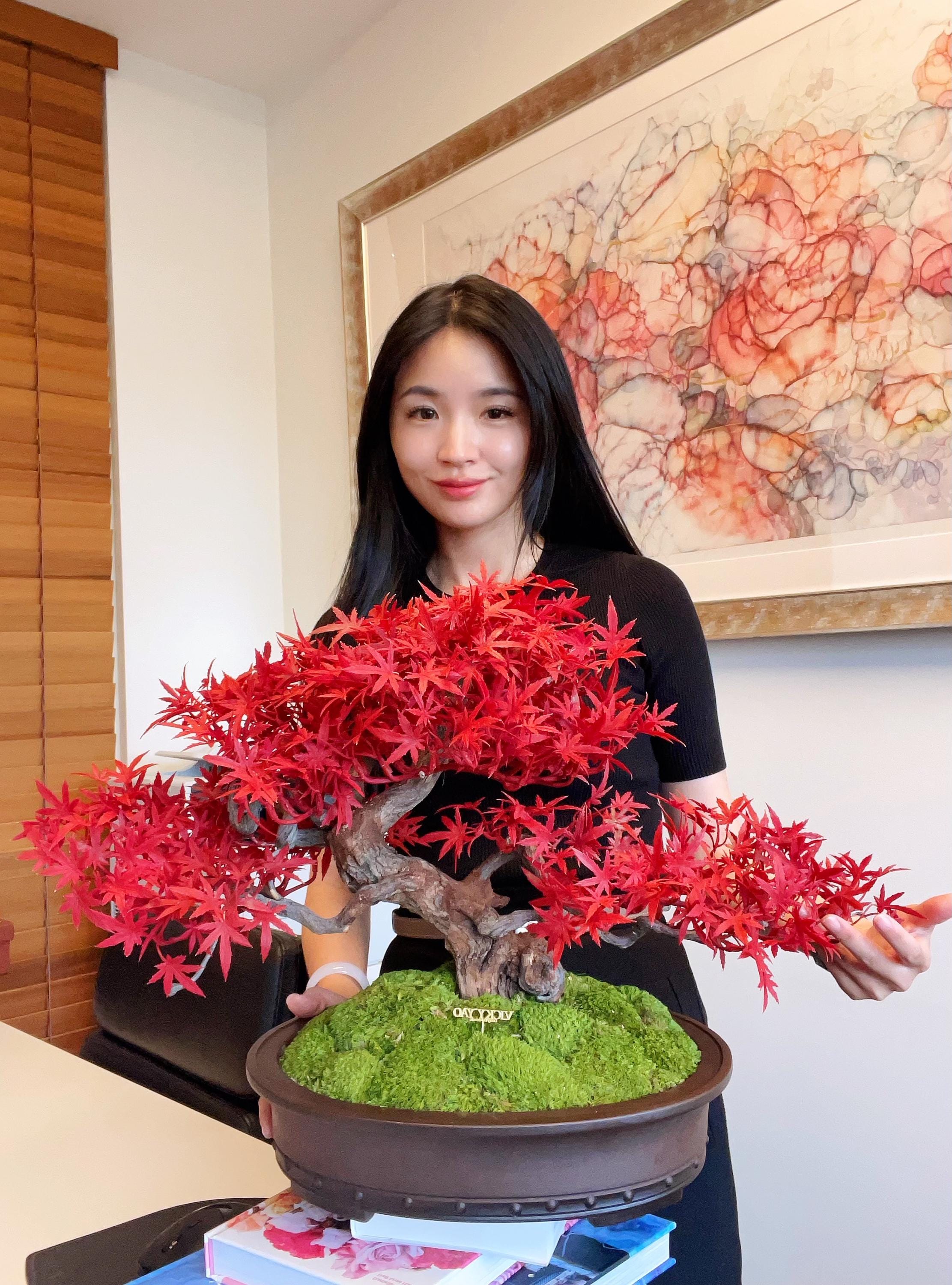 VICKY YAO Fine Bonsai - 限定版 リアルな盆栽アート 赤いカエデの葉を