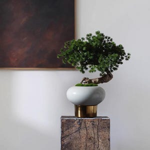 Può includere: Un bonsai con fogliame verde vibrante e un tronco curvo è in un vaso bianco e arrotondato su una base dorata. Il vaso poggia su un piedistallo di pietra marrone strutturata. Un dipinto astratto incorniciato è appeso sullo sfondo.