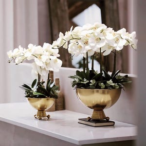 May include: Two gold metal vases with white orchid flowers. The larger vase is on a book and the smaller vase is on a table.