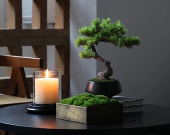 VICKY YAO - Best popular Handmade Artificial Bonsai Tree with Preserved Moss Zen Table Decor 12” × 14”