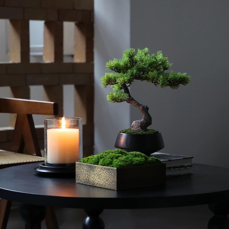 K&ouml;nnte beinhalten: Ein kleiner k&uuml;nstlicher Bonsai mit gr&uuml;nem Blattwerk und braunem Stamm in einer schwarzen Schale, ein quadratischer Beh&auml;lter gef&uuml;llt mit gr&uuml;nem Moos und eine wei&szlig;e Stumpenkerze in einem klaren Glashalter, arrangiert auf einem runden schwarzen Tisch.