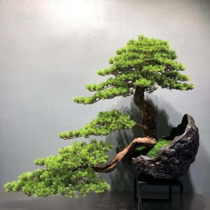 VICKY YAO Fine Bonsai - Exclusive Design Super luxury customized handmade Faux bonsai Tree Art Real Preserved Moss L50x W 100 x H75cm