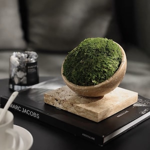 VICKY YAO Faux Moss - Exclusive Special Travertine Stone Unique Faux Bonsai Moss Art