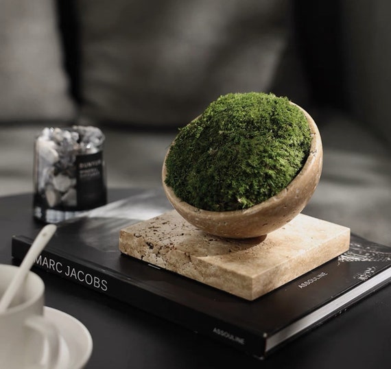 Vicky Yao Faux Moss Exclusive Special Travertine Stone Unique Faux Bonsai  Moss Art 