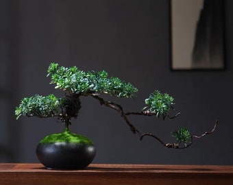 VICKY YAO  - Artificial Bonsai Tree Cypress Realistic Tall 9in. Ceramic Pot Fake Plants Zen Faux for Home Desk Shelf Living room Japanese