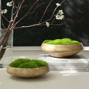 VICKY YAO Design Aesthetic - Real erhaltenes Moosschalen-Mittelstück, einzigartige Form, Tischdekoration The FOREST Bowl.  Moos Herzstück