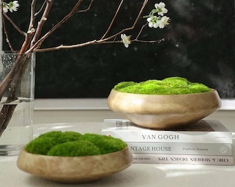 VICKY YAO - Preserved Moss Bowl Centerpiece The FOREST Bowl, Unique Table Decor