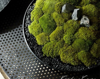 VICKY YAO Diseño Estético - Centro de mesa con cuenco de musgo real preservado, forma única, centro de mesa con cuenco de musgo Wabi-Sabi