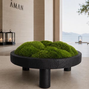 May include: A circular black wooden stand with three cylindrical legs, featuring a thick, textured mound of vibrant green moss covering the top surface. The piece has a dark, charred wood finish and a low-profile design with a flat base.