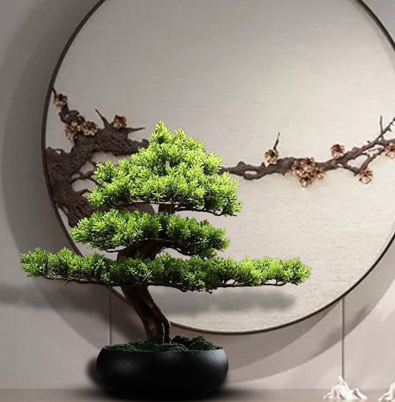 eibe 100 cm kaufen Gemeine Eibe (Taxus baccata) | 100-125 cm mit Wurzelballen