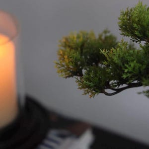 K&ouml;nnte beinhalten: Ein kleiner k&uuml;nstlicher Bonsai-Baum mit leuchtend gr&uuml;nem, nadelartigem Laub und dunkelbraunen &Auml;sten, der neben einem hohen, zylindrischen Glaskerzenhalter steht, in dem eine warm leuchtende Stumpenkerze ein sanftes Licht verbreitet.