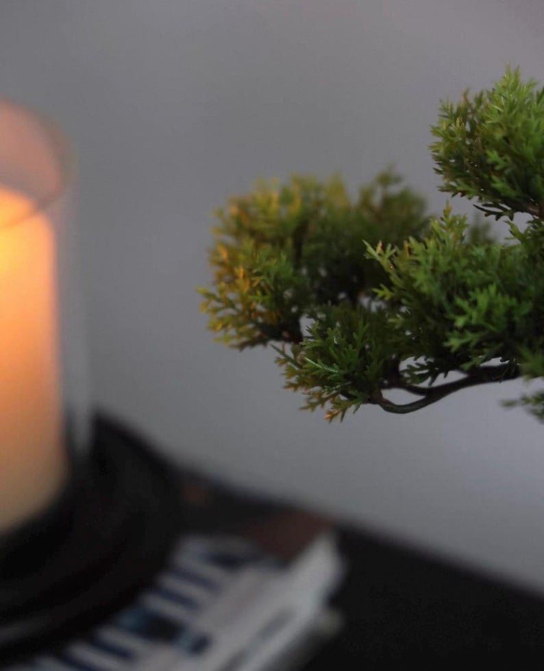 K&ouml;nnte beinhalten: Ein kleiner k&uuml;nstlicher Bonsai-Baum mit leuchtend gr&uuml;nem, nadelartigem Laub und dunkelbraunen &Auml;sten, der neben einem hohen, zylindrischen Glaskerzenhalter steht, in dem eine warm leuchtende Stumpenkerze ein sanftes Licht verbreitet.