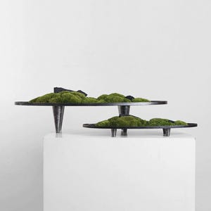 May include: Two-tiered, dark metal serving platters with a mossy green surface. The platters are supported by tapered legs and are filled with vibrant green moss. The design is modern and minimalist, suitable for decorative displays.