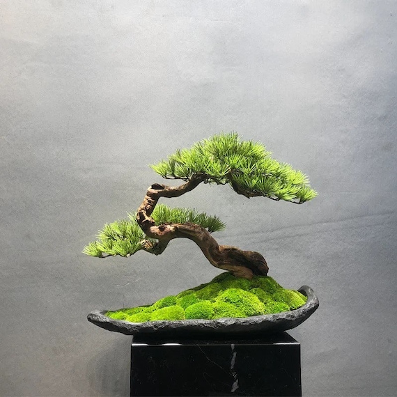 VICKY YAO Design Aesthetic - Exclusive Design Handmade Latest Works  Realistic Artificial Faux Bonsai Art W57 X D33 X H48 Cm - Etsy New Zealand