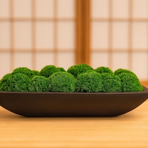 May include: A dark brown, oblong planter filled with bright green moss. The moss is arranged in rounded clumps. The planter sits on a light-coloured wooden surface, with a blurred background of a traditional Japanese screen.