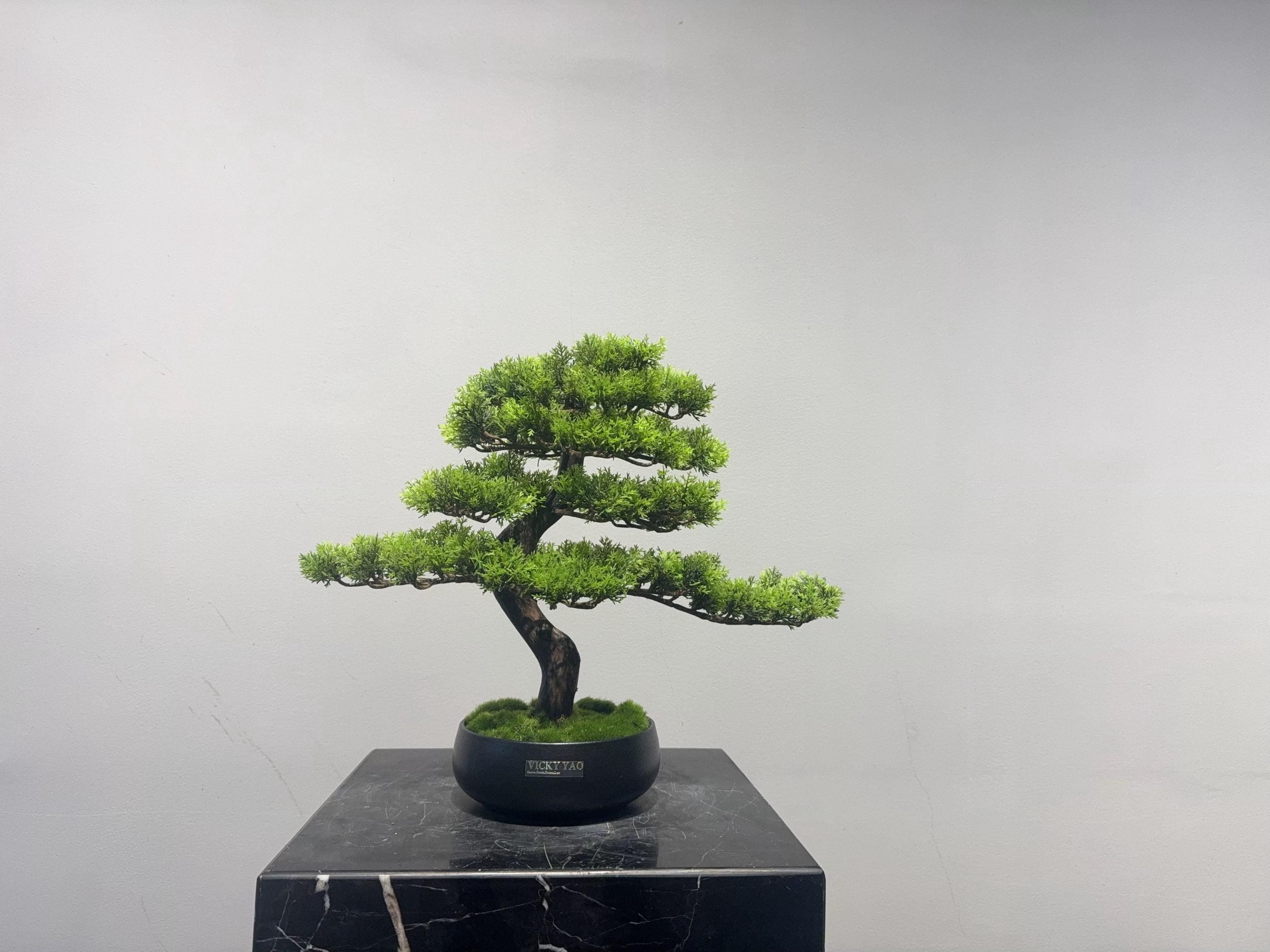 Amazon.com: NOENNULL Cute Plant Pot Humanoid Resin Flower