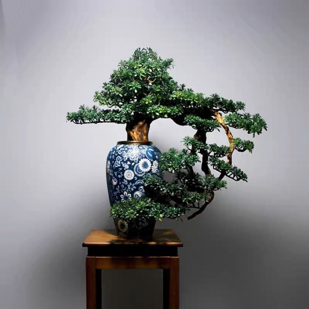 VICKY YAO Faux Bonsai Exclusive Design Artificial Bonsai Tree in