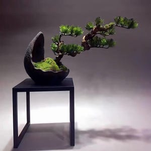 May include: A bonsai tree with green leaves and a curved trunk is planted in a dark, egg-shaped pot. The pot sits on a small, black, square table. The background is a gradient of grey and white.