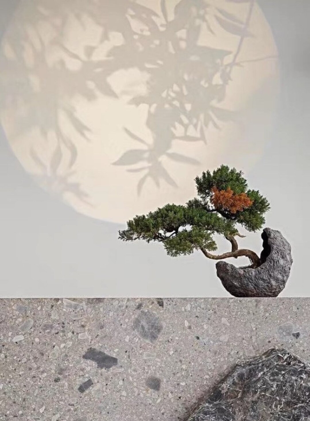 VICKY YAO Artificial Bonsai Tree in Realistic Moon Pot Faux Bonsai Art
