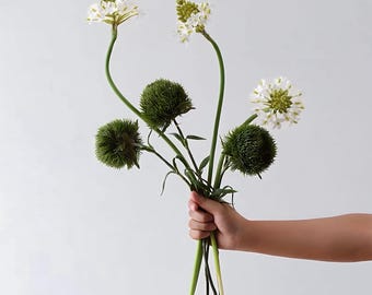 VICKY YAO-Set of 3 Chinese Sweet Plum Branches+ 3 Realistic Touch Green Ball Stems.Artificial Greenery Home Decor Faux Greenery Without Vase