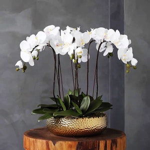 VICKY YAO - Faux Orchid Arrangement, Large Orchid Arrangement, Orchids in Pot, Potted Orchids, Artificial Flowers, Real Touch Orchids