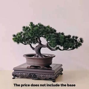 Puede incluir: Un árbol bonsái con follaje verde y un tronco marrón en una maceta de cerámica marrón. El árbol está sentado sobre una base de madera marrón oscuro con tallas intrincadas.