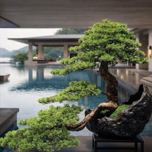 VICKY YAO Fine Bonsai - Exclusive Design Super luxury customized handmade Faux bonsai Tree Art Real Preserved Moss L20” × W39.5” × H29.5”