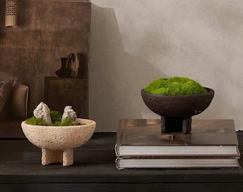 VICKY YAO Design Aesthetic - Exclusive Design Real Preserved Moss Bowl Art 15x15x10cm Zen Art