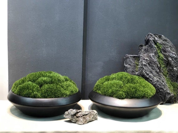 VICKY YAO Faux Plant Exclusive Design Preserved Moss Bowl Art