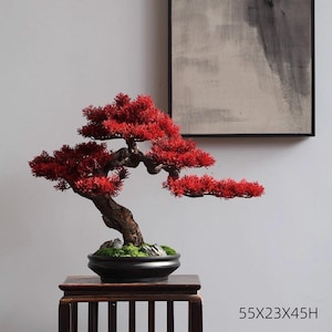 May include: A vibrant red bonsai tree in a black ceramic pot, displayed on a wooden stand. The tree's branches are laden with bright red foliage. The dimensions are 55x23x45H inches. A decorative piece for home or office.