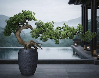 May include: A bonsai tree with green foliage and a curved, brown trunk is planted in a dark gray textured pot. The tree is set against a backdrop of a pool and mountains. The word "AMAN" is visible in the upper right corner.