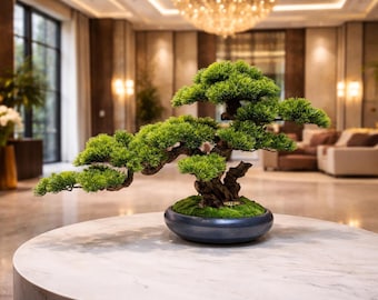 pine cone bonsai Mastering Shohin Japanese Black Pine Bonsai: A Step-by-Step Guide to  Cultivating and Growing Your Perfect Tree main image 1