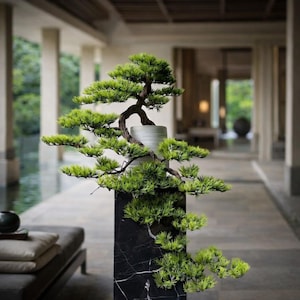 May include: A bonsai tree with bright green leaves, presented in a white ceramic pot on a black marble pedestal. The tree's branches are artfully arranged, creating a tranquil and refined appearance.