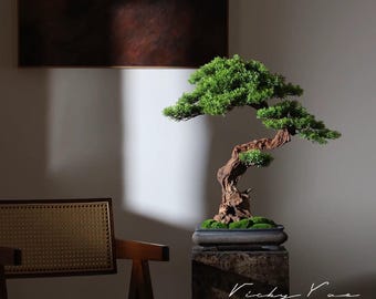May include: A green bonsai tree with a twisted brown trunk in a black pot on a gray stone pedestal. The tree is in a room with a brown painting on the wall and a wooden chair with a woven seat.