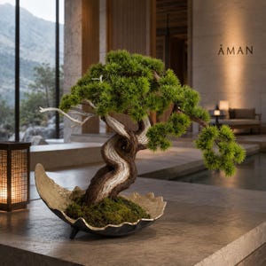 May include: A bonsai tree with a twisted, textured brown trunk and vibrant green needles, planted in a shallow, scalloped-edge bowl with a metallic gold interior and dark exterior, resting on a stone surface in a room with the text AMAN.