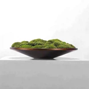 May include: A shallow, dark brown circular bowl filled with a dense cluster of vibrant green moss. The moss has a textured, uneven surface with varying shades of green, creating a rounded mound that sits within the rim of the smooth, dark wooden bowl.