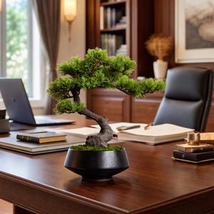 K&ouml;nnte beinhalten: Ein kleiner k&uuml;nstlicher Bonsai-Baum mit leuchtend gr&uuml;nem Laub und einem strukturierten dunkelbraunen Stamm, gepflanzt in einer glatten, mattschwarzen Keramikschale. Die Basis des Baumes ist mit gr&uuml;nem Moos bedeckt, was f&uuml;r eine realistische Optik sorgt.