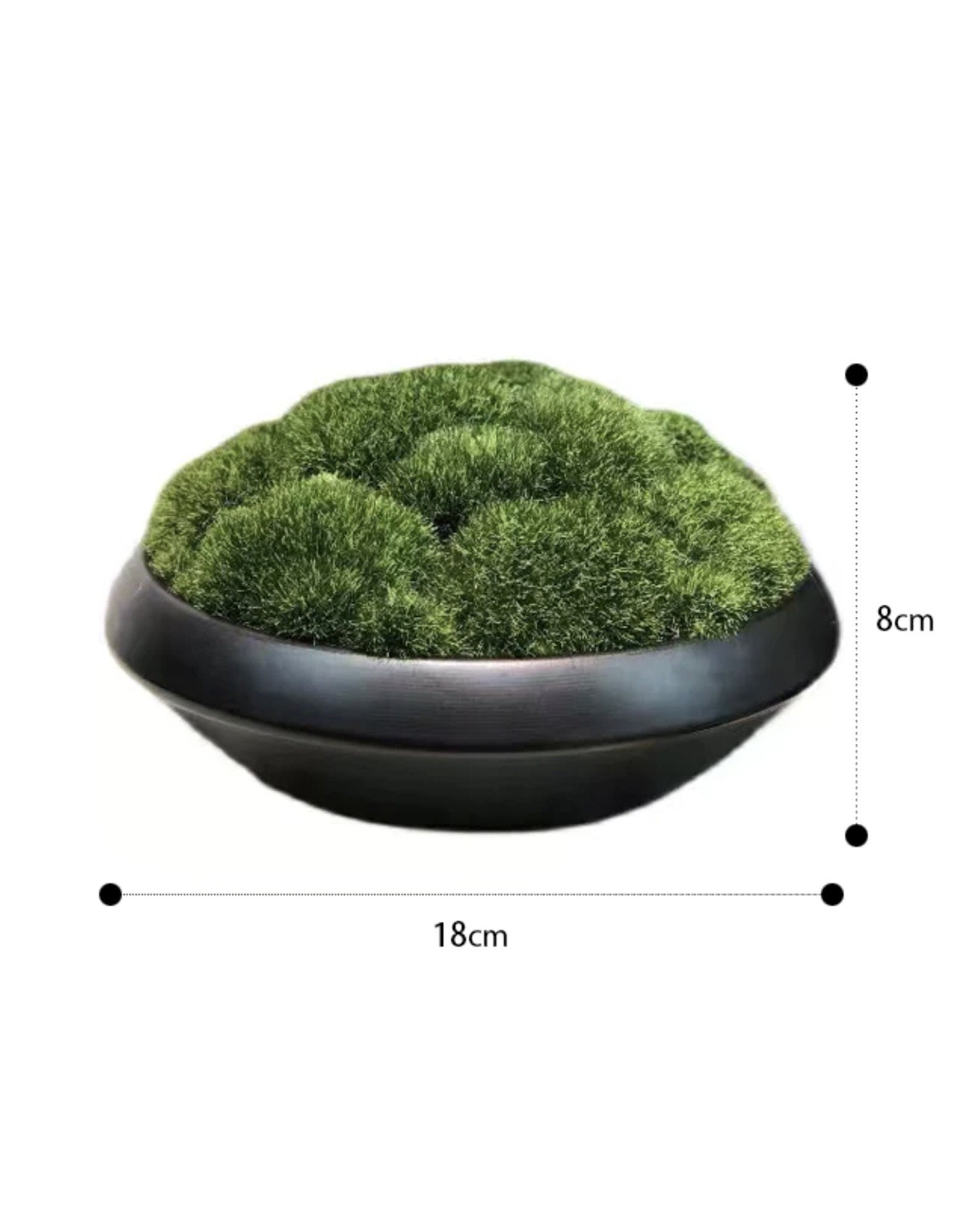 VICKY YAO Faux Plant Exclusive Design Preserved Moss Bowl Art 