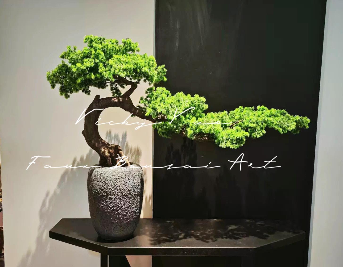bonsai large pots 15.7