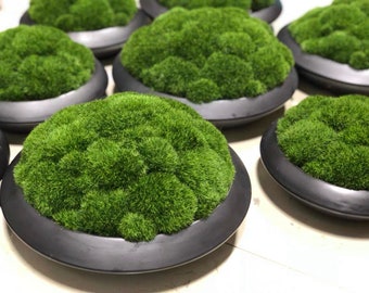 VICKY YAO Faux Plant - Exclusive Design Real Preserved Moss Bowl Centerpiece, Unique form , table centerpiece D18cm black bowl