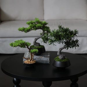 K&ouml;nnte beinhalten: Zwei k&uuml;nstliche Bonsai-B&auml;ume mit gr&uuml;nem Blattwerk und strukturierten grauen St&auml;mmen, jeweils in einer mattschwarzen Schale. Ein Baum hat einen geschwungenen Stamm mit moosiger Erde, der andere eine kleinere Basis mit hellen Kieselsteinen.