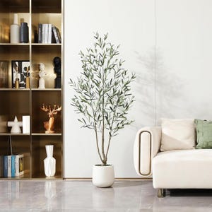 K&ouml;nnte beinhalten: Ein k&uuml;nstlicher Olivenbaum mit gr&uuml;nen Bl&auml;ttern und einem braunen Stamm in einem wei&szlig;en Topf. Der Baum steht vor einer wei&szlig;en Wand, neben einem cremefarbenen Sofa mit gr&uuml;nen und cremefarbenen Kissen. Ein goldfarbenes Regal ist links zu sehen.