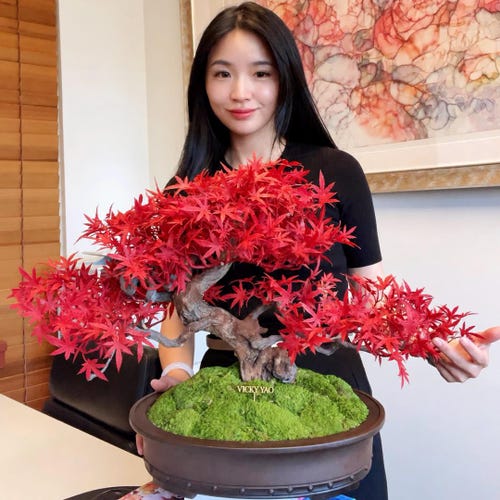 VICKY YAO Design - 限定版盆栽アート 人工盆栽 日本の松風 陶器