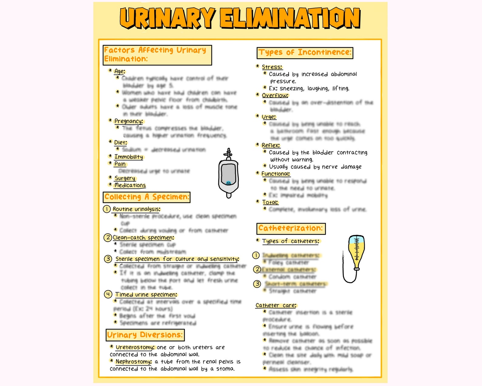 Urinary Elimination Nursing Study Guide Nursing Notes Etsy