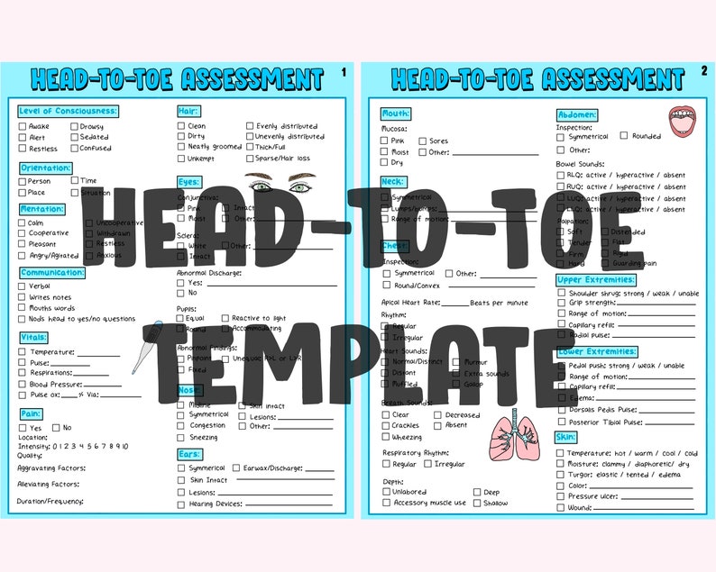 Head-to-toe Template Nursing Assessment Study Guide - Etsy