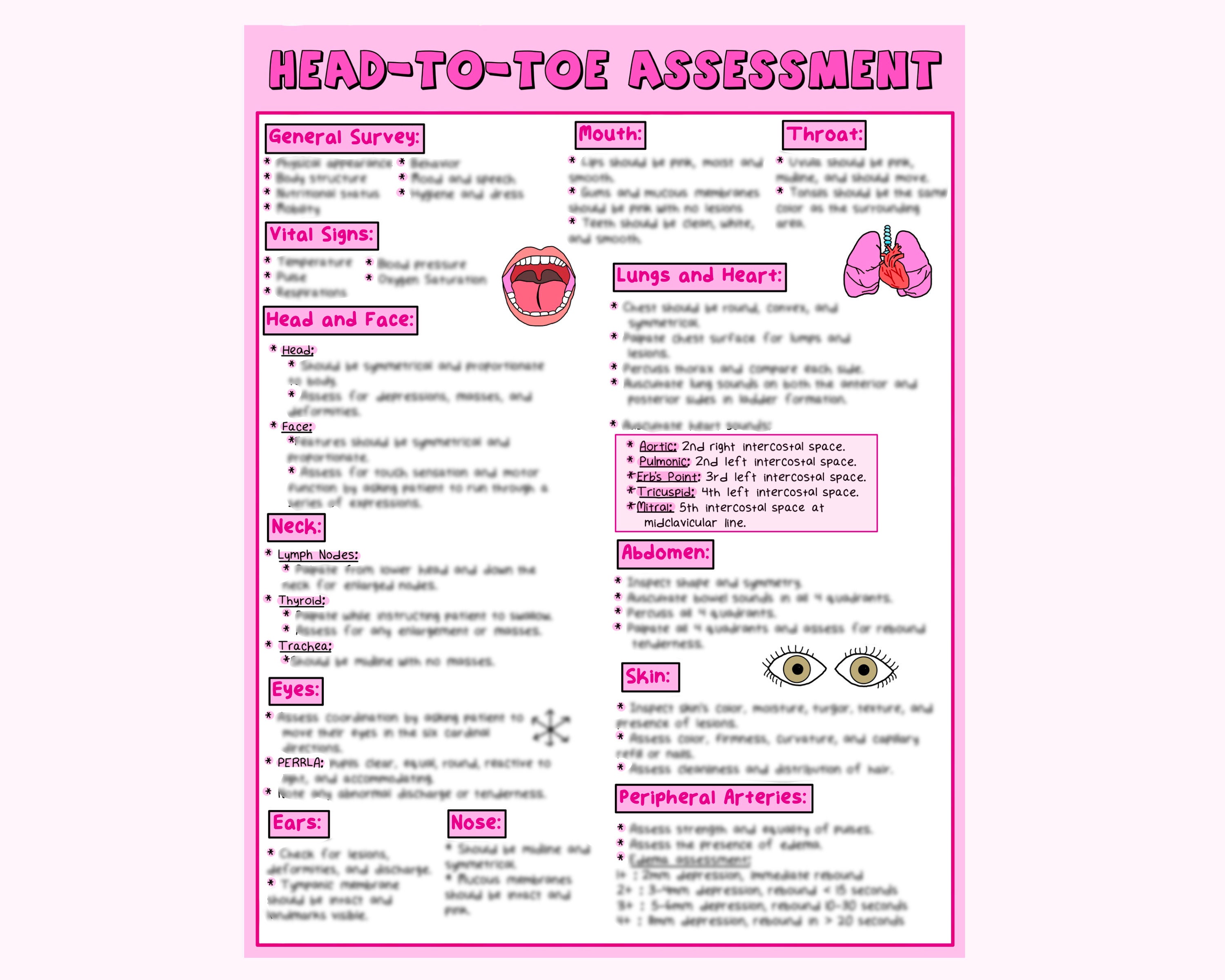 Head to toe Assessment Nursing Study Guide Etsy Canada