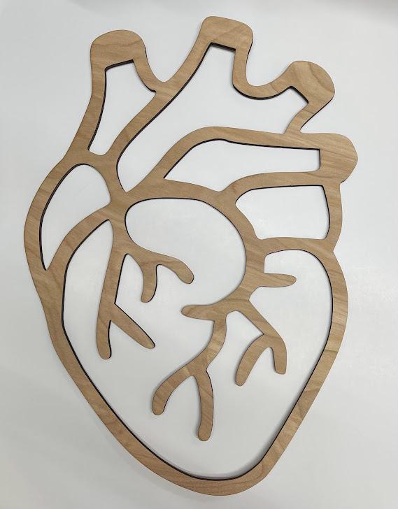 Anatomical Wall Art, Heart Brain Lungs Decor, (wall art, gift, decor, sculpture, ornament, medical student gift)