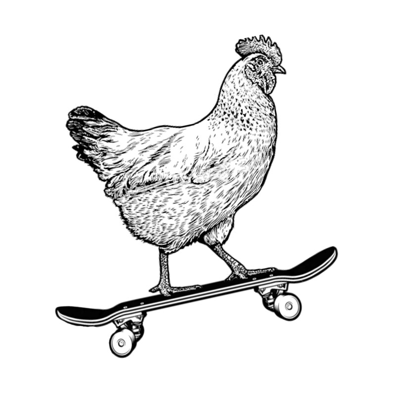 May include: A black and white line drawing of a chicken riding a skateboard. The chicken is facing to the right and has its legs on the skateboard. The skateboard has wheels and is on a white background.