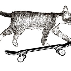 May include: A black and white line drawing of a cat skateboarding. The cat is in mid-air, with its front paws on the skateboard and its back paws in the air. The skateboard has four wheels.