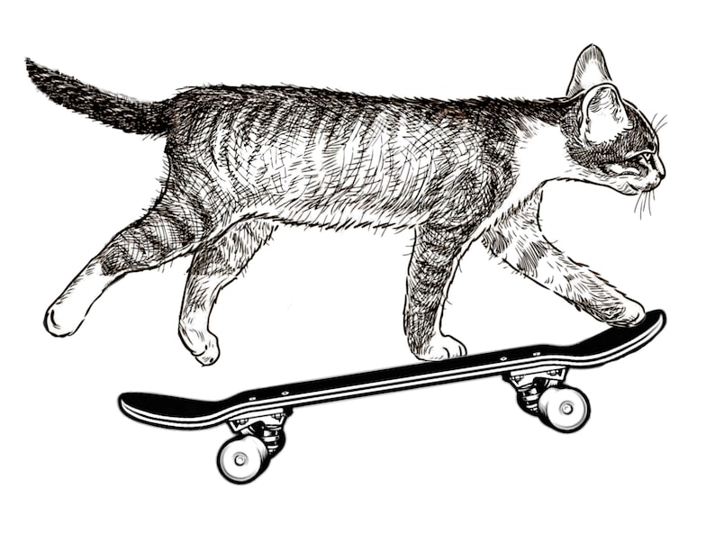 May include: A black and white line drawing of a cat skateboarding. The cat is in mid-air, with its front paws on the skateboard and its back paws in the air. The skateboard has four wheels.